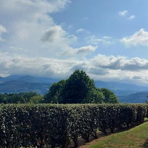 Appartamento Monfaucon Vue Sur Les Pyrenees Pouzac Exterior photo