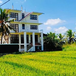 Hotel Freedom Of Green Rice View Anuradhapura Exterior photo