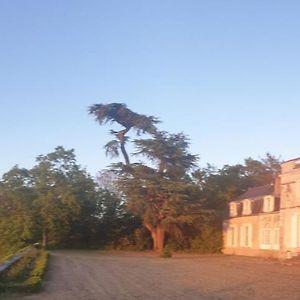 Chateau De Colliers Bed and Breakfast Muides-sur-Loire Exterior photo