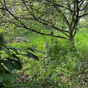 The Hobbit House And Secret Garden Villa Taunton Exterior photo