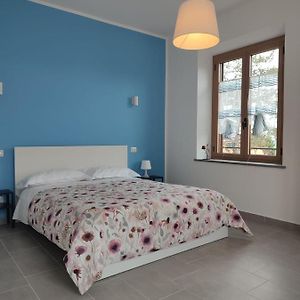 Appartamento Il Glicine - Anemone Paciano Exterior photo