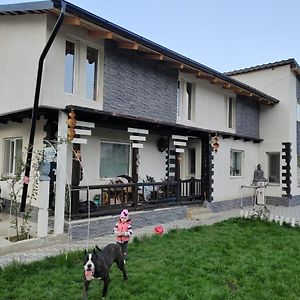 Appartamento “ Casa Saryl “ Targu Ocna Exterior photo