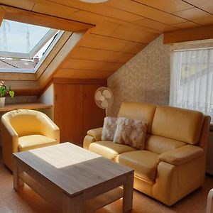 Sonnige Ruhige Dachzimmer Inkl Wifi Plus Kaffee Mit Wg Dusche Und Neuer Kuche Lörrach Exterior photo