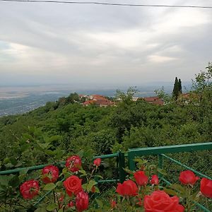 Guesthouse Kiko Sighnaghi Exterior photo