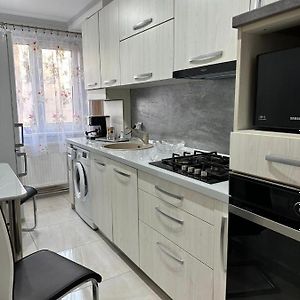 Stylish Apartment In Dambu Târgu-Mureş Exterior photo