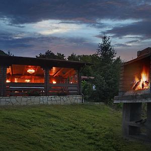 Cabana Poiana Verde Slănic-Moldova Exterior photo