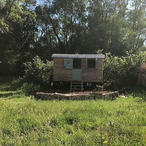 Appartamento The Shepherd'S Hut Whiteparish Exterior photo