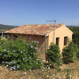 Dolce Riposo Villa Olbia Exterior photo