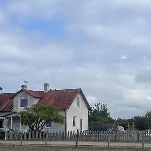 12Bed House With Poolarea Hablingbo South Gotland Villa Havdhem Exterior photo