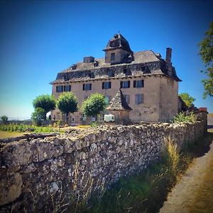 Chateau De Cours Bed and Breakfast Sénezergues Exterior photo