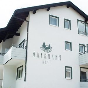 Hotel Auerhahn Nest Bad Wildbad Exterior photo