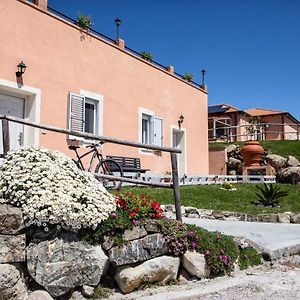 L'Aurora Bed and Breakfast Ceraso Exterior photo