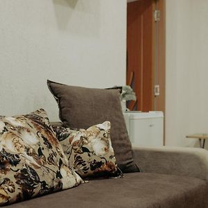 Appartamento Flat In Petroşani Exterior photo