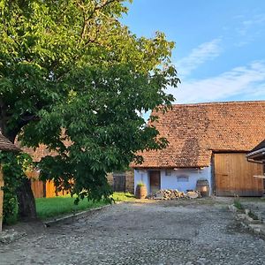 Haus Rether - Transylvanian Guesthouse Bunesti Exterior photo