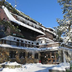 Hotel Penzion Sykovec Tři Studně Exterior photo