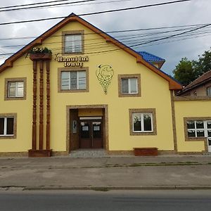 Hotel Hanul Lui Ionut Satu Mare Exterior photo