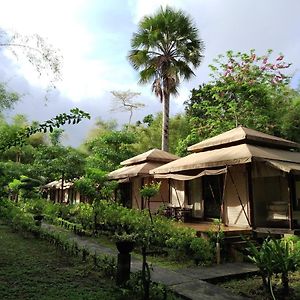 Jawa Jiwa G-Land Resort Dadapan Exterior photo