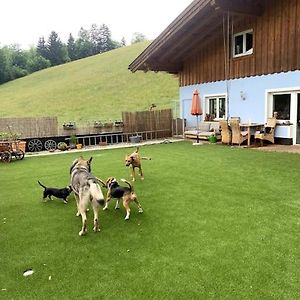 Appartamento Urlaub Mit Hund Im Salzburger Land Wegscheid Exterior photo