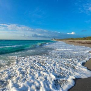 Ocean House Villa Dania Beach Exterior photo