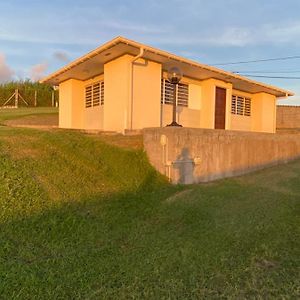 Appartement Entre'M Case-Pilote Exterior photo