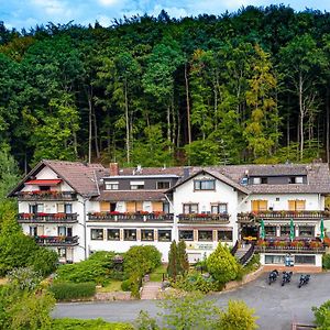 Gasthof-Hotel Laermfeuer Rohrbach  Exterior photo