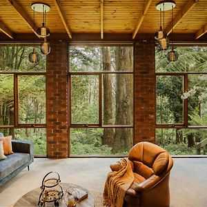 Modern Seednest Treehouse, Forest & Mountain View Villa Sassafras Exterior photo