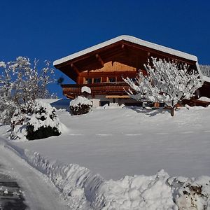 Ferienwohnung Obernauer Aurach bei Kitzbühel Exterior photo