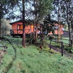 Casa O Habitacion En Carretera Austral Affittacamere Puerto Montt Exterior photo