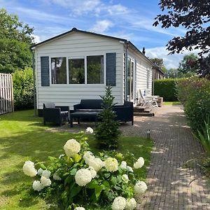 Rustig Chalet 4 Personen Op Recreatiepark De Friese Wadden Tzummarum Buitenzwembad Aanwezig Op Het Park Villa Exterior photo