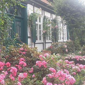 Rosindell cottage Halle  Exterior photo