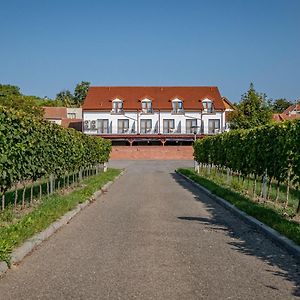 Hotel Penzion Pod Kravi Horou Bořetice Exterior photo