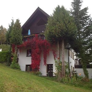 Appartamento Waldblick Tannenberg Exterior photo