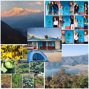 Hom'S Homestay & Campsite Sarangkot Pokhara Exterior photo