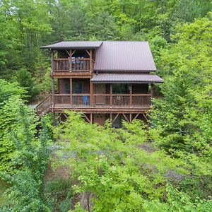 Firefly Lodge Private Log Cabin With Mountain Views! Black Mountain Exterior photo