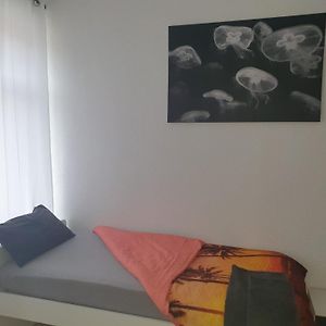 Appartamento Monteur Zimmer Wurzen Exterior photo