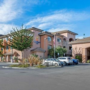 Comfort Inn Marina On The Monterey Bay Exterior photo