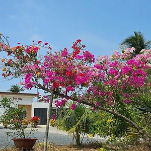 Nhà nghỉ Trúc Mây Villa Ben Tre Exterior photo