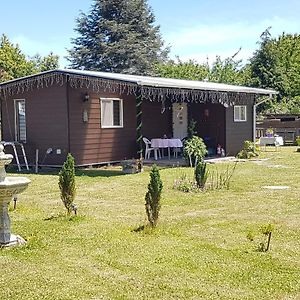 Cabana Campo Valdivia Villa Exterior photo