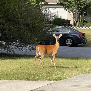 Wayne'S Place-Hot Tub, Pet Friendly. Close To Hpu Villa Highpoint Exterior photo