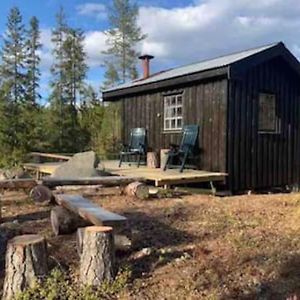 Velkommen Til Finnskogen Og Minihytta Rimbila Kongsvinger Exterior photo