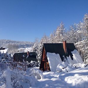 Domki Pod Kiczera W Baligrodzie, Bieszczady Villa Exterior photo