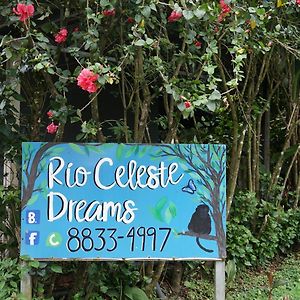 Appartamento Apartamento Rio Celeste Dreams Bijagua Exterior photo