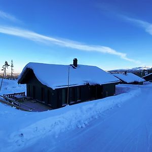 Modern Och Bekvaem Hytte Naera Gaustatoppen, 3 Sovrum 9 Baeddar Villa Gaustablikk Exterior photo