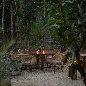 Naum - Secluded Villa With Private Cenote Tulum Exterior photo