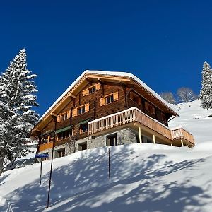 Appartamento Sunnehuesli Braunwald Exterior photo