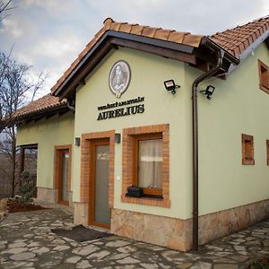 Hotel Vinařský pension André Velké Pavlovice Exterior photo