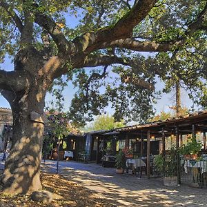 La Vecchia Quercia Bed and Breakfast Selci  Exterior photo