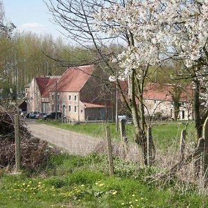 De Verborgen Parel Bed and Breakfast Borgloon Exterior photo