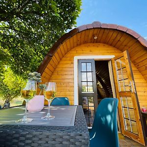 The Gold Pod, Relax And Enjoy On A Glamping House Affittacamere Corredoura Exterior photo