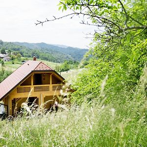 Appartamento Apartma Smithy Laško Exterior photo